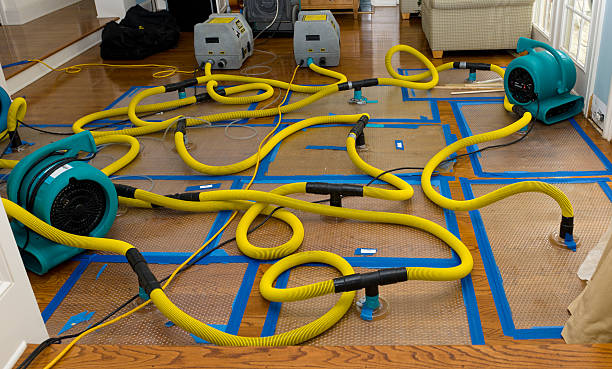 Professional Crawl Space Water Removal technician working in Whitmore Lake, MI